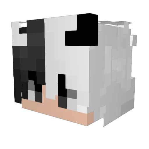 Z3trin0 Minecraft avatar head, 3D render