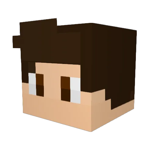 Z4NDDR Minecraft avatar head, 3D render
