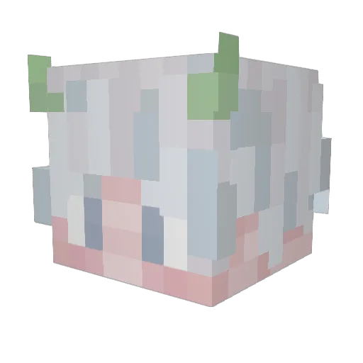 Z4boR Minecraft avatar head, 3D render