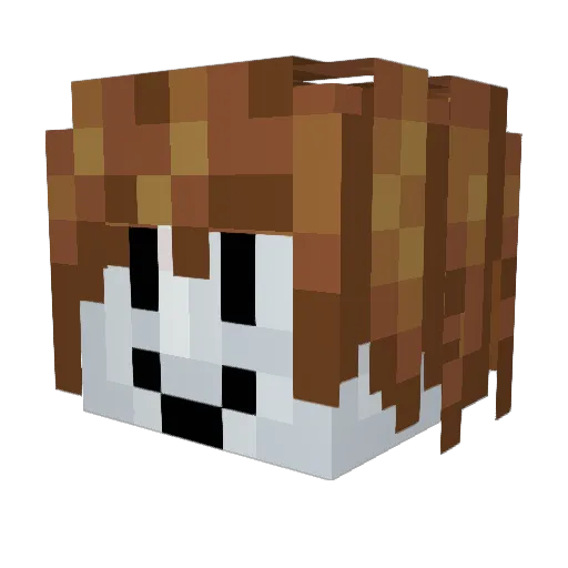 Z6rx Minecraft avatar head, 3D render