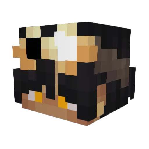 Z9_0 Minecraft avatar head, 3D render