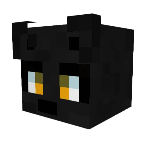 ZACKIUS9 Minecraft avatar head, 3D render