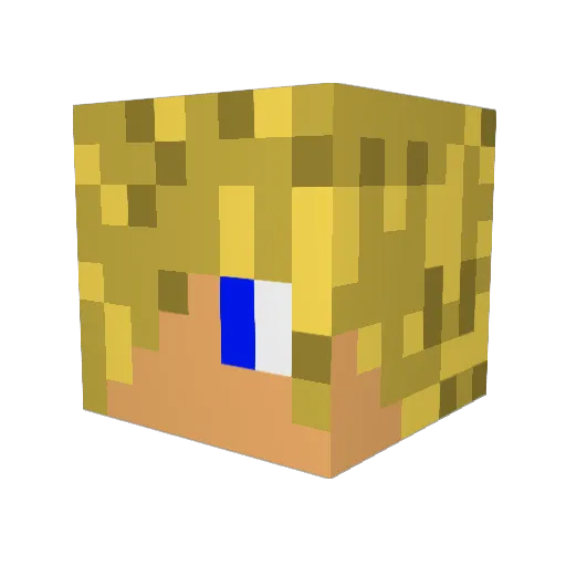 ZACK_812 Minecraft avatar head, 3D render