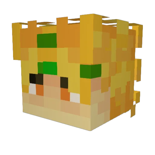 ZAHANDO00 Minecraft avatar head, 3D render