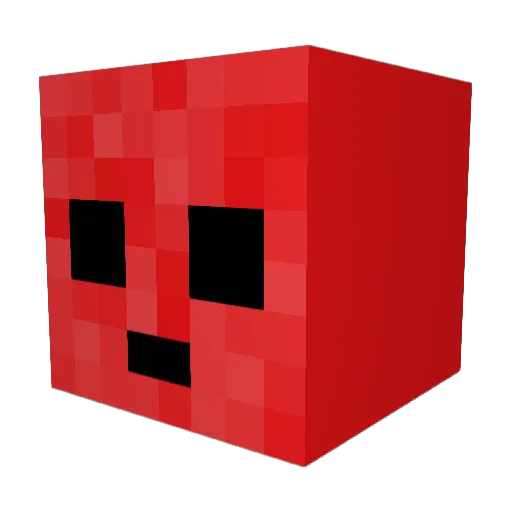 ZANDERISCOOL013 Minecraft avatar head, 3D render