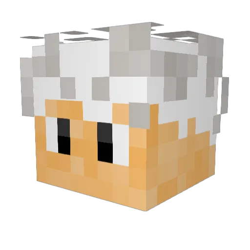 ZARXFN Minecraft avatar head, 3D render