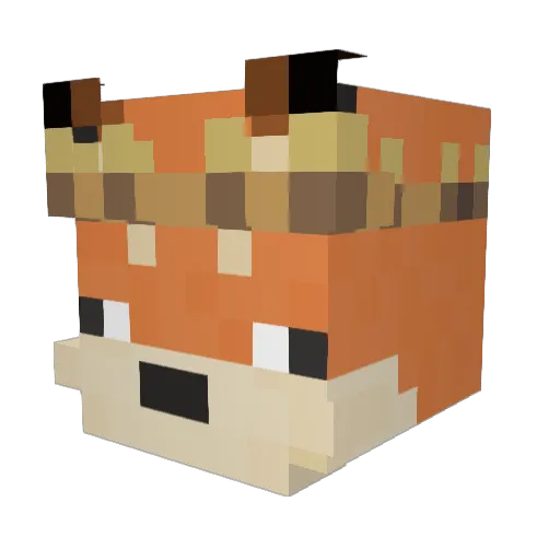 ZAZER_8 Minecraft avatar head, 3D render