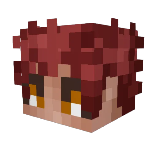 ZAnizibar Minecraft avatar head, 3D render