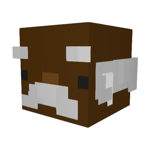 ZB_Zaks Minecraft avatar head, 3D render