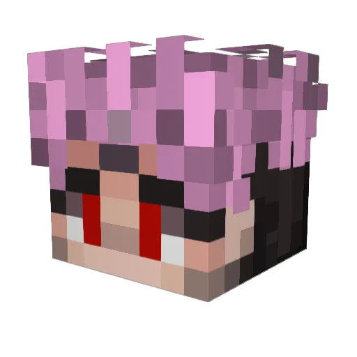 ZC_55 Minecraft avatar head, 3D render