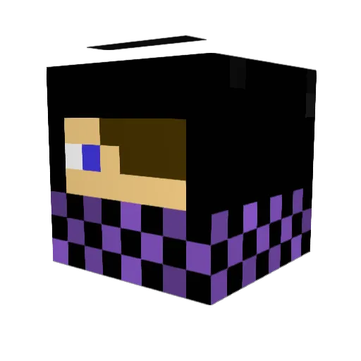 ZCoolness Minecraft avatar head, 3D render