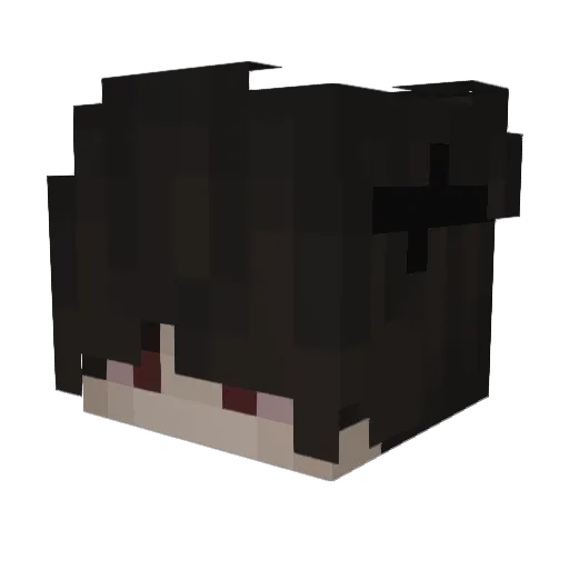 ZD10 Minecraft avatar head, 3D render