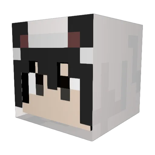 ZDWU Minecraft avatar head, 3D render