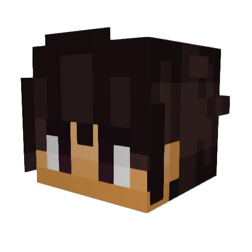 ZDiamond180 Minecraft avatar head, 3D render