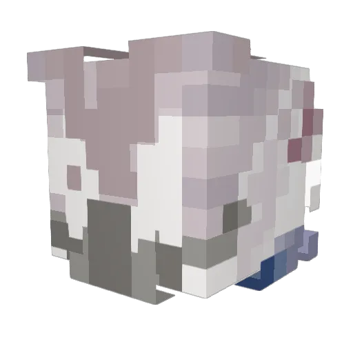 ZEBARK72 Minecraft avatar head, 3D render