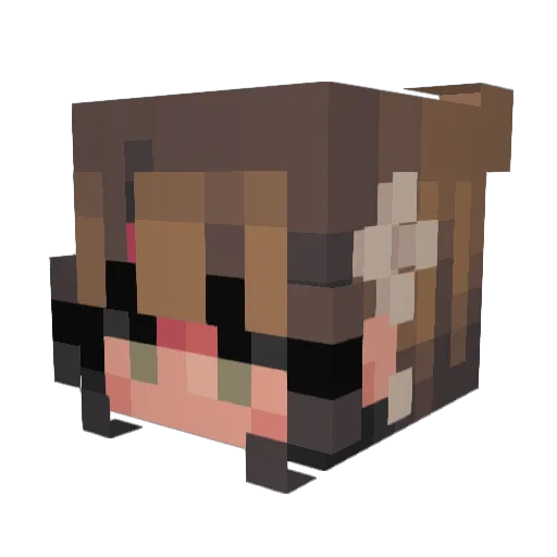 ZEBRA545 Minecraft avatar head, 3D render