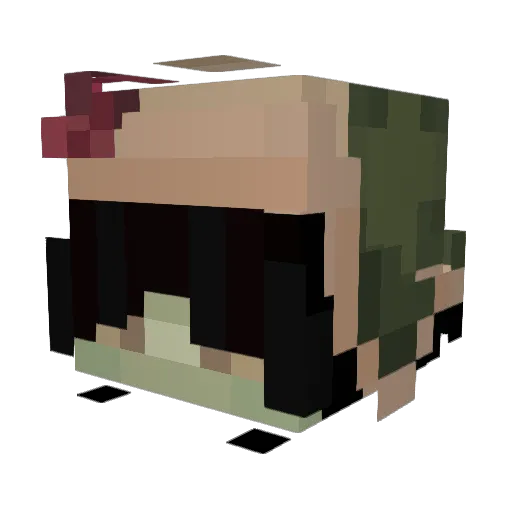 ZENITHV8 Minecraft avatar head, 3D render
