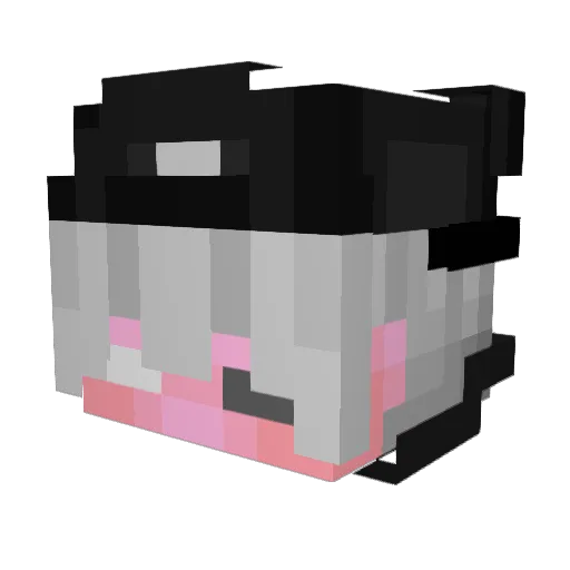 ZEN_DER Minecraft avatar head, 3D render