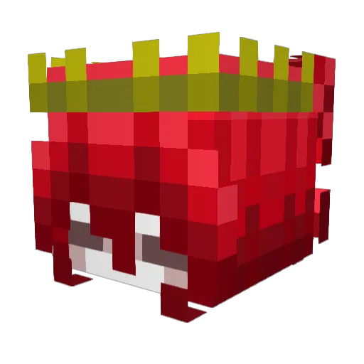 ZEN_ZENZ Minecraft avatar head, 3D render