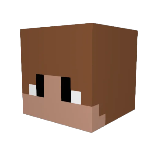 ZEPPLIN2001 Minecraft avatar head, 3D render