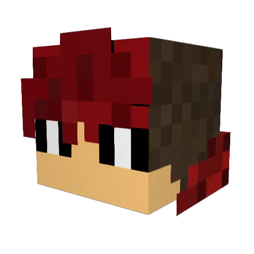 ZEROV0ID Minecraft avatar head, 3D render