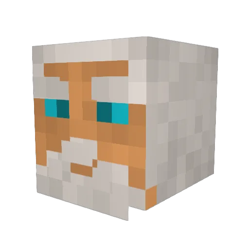 ZEUS1AK Minecraft avatar head, 3D render