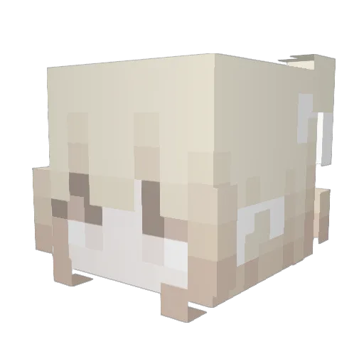 ZEUsKITTEN Minecraft avatar head, 3D render