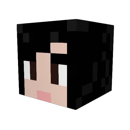 ZGOK3 Minecraft avatar head, 3D render