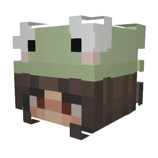 ZHCrackers36 Minecraft avatar head, 3D render
