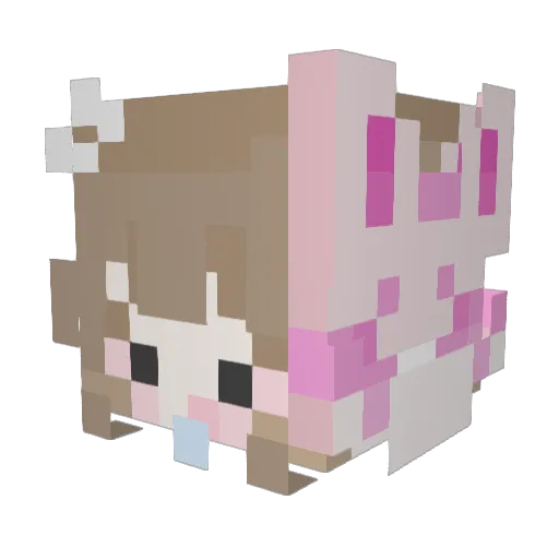 ZI9BON Minecraft avatar head, 3D render
