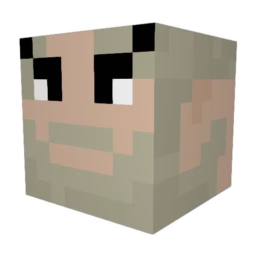 ZICOZORRO Minecraft avatar head, 3D render