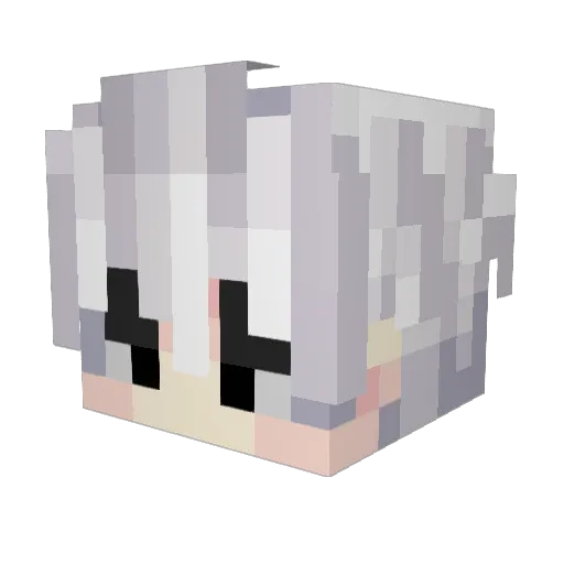 ZIDIED Minecraft avatar head, 3D render
