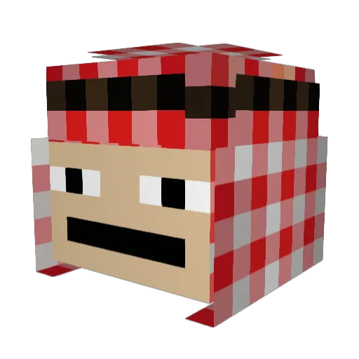 ZIGGE8 Minecraft avatar head, 3D render