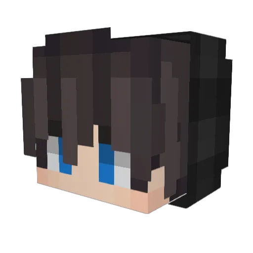 ZIJIN218 Minecraft avatar head, 3D render