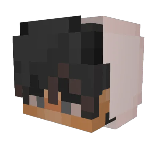 ZINA0000 Minecraft avatar head, 3D render
