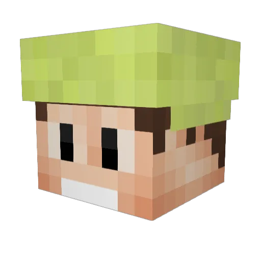 ZJohnDee Minecraft avatar head, 3D render