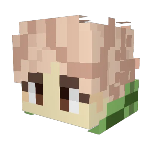 ZL15926 Minecraft avatar head, 3D render