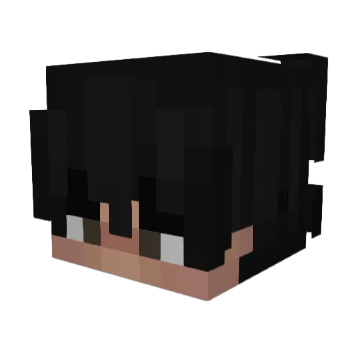 ZLeo8 Minecraft avatar head, 3D render