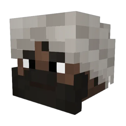 ZMCJayden Minecraft avatar head, 3D render