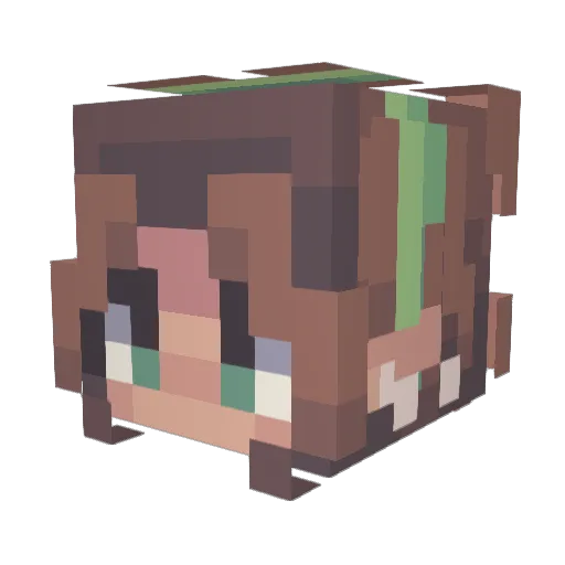 ZOEXE Minecraft avatar head, 3D render