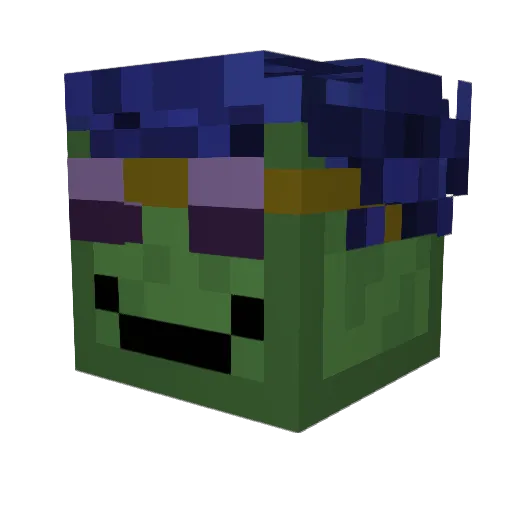 ZOMG00SE Minecraft avatar head, 3D render