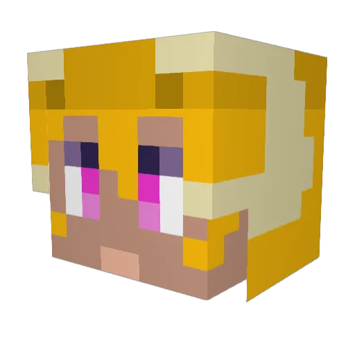 ZOOSABIN Minecraft avatar head, 3D render