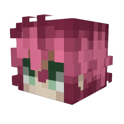 ZOP9 Minecraft avatar head, 3D render