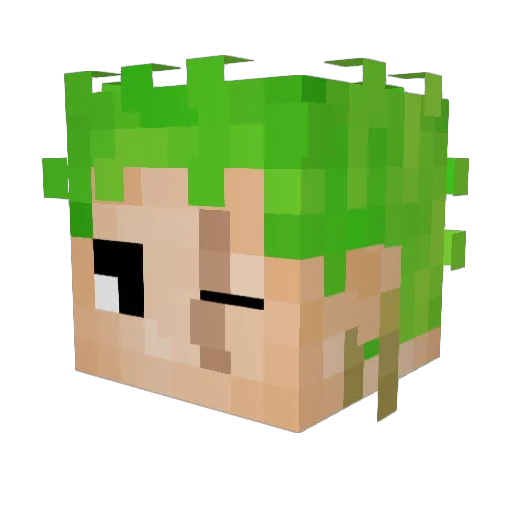 ZOROJURO817 Minecraft avatar head, 3D render