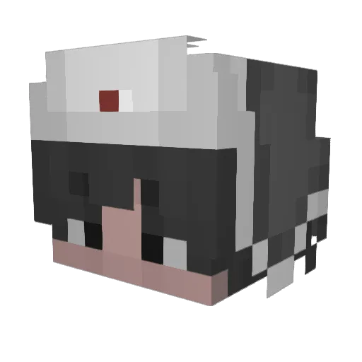 ZQ_AK Minecraft avatar head, 3D render