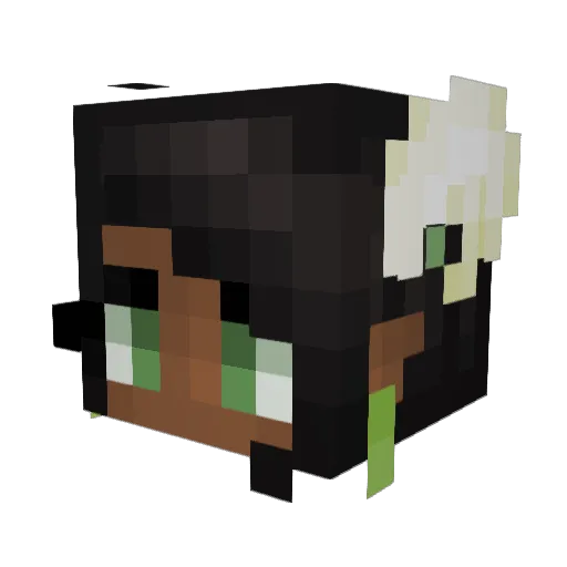 ZQueenOfRandom Minecraft avatar head, 3D render
