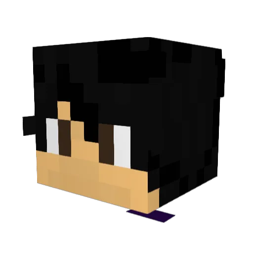 ZSD14 Minecraft avatar head, 3D render