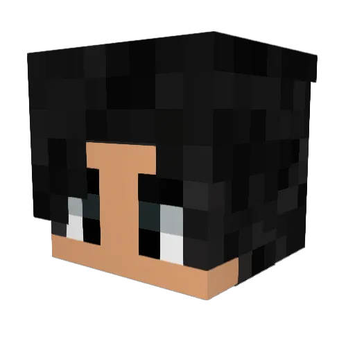 ZSMF Minecraft avatar head, 3D render