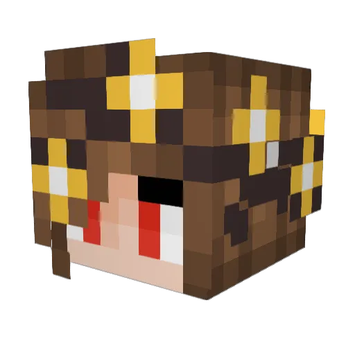ZSpeed8106 Minecraft avatar head, 3D render