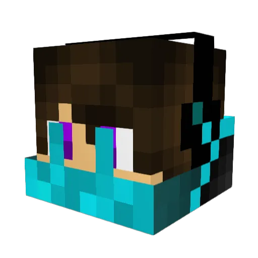ZTplays_YT Minecraft avatar head, 3D render